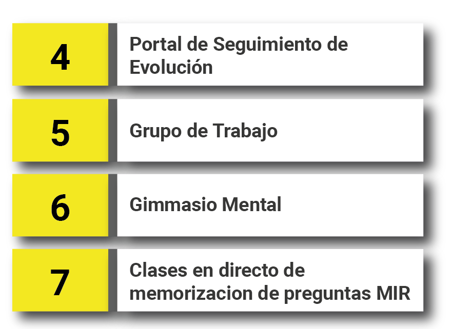 Fase Curso memorizacion_Mesa de trabajo 1 copia 2 Fase Curso 7meses
