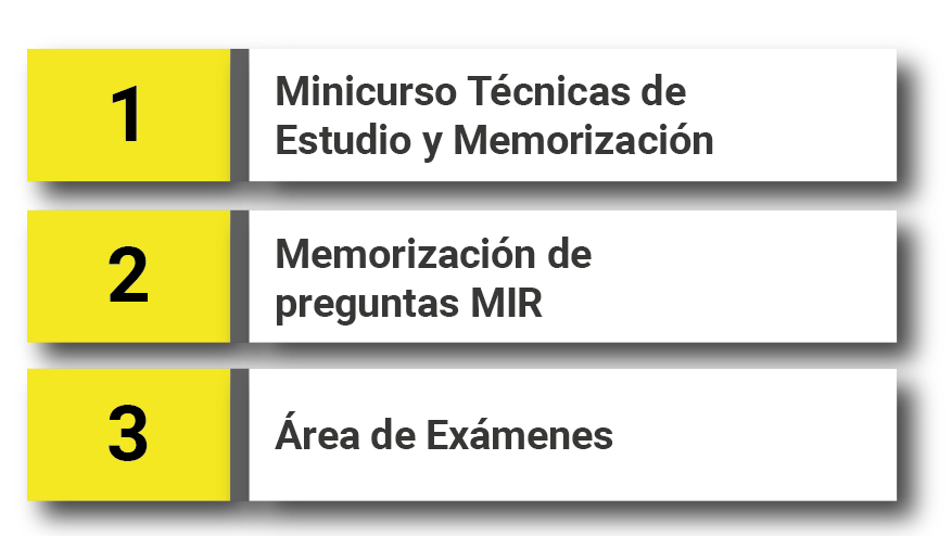 Fase Curso memorizacion_Mesa de trabajo 1 copia Fase Curso 7meses